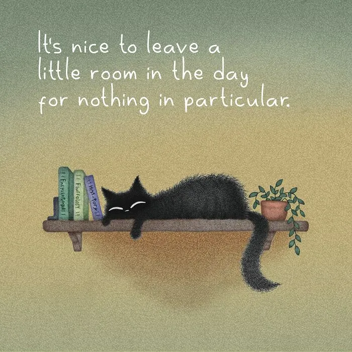 Cat illustrations by Luis Coelho showing a black cat relaxing on a bookshelf alongside books and a small plant.