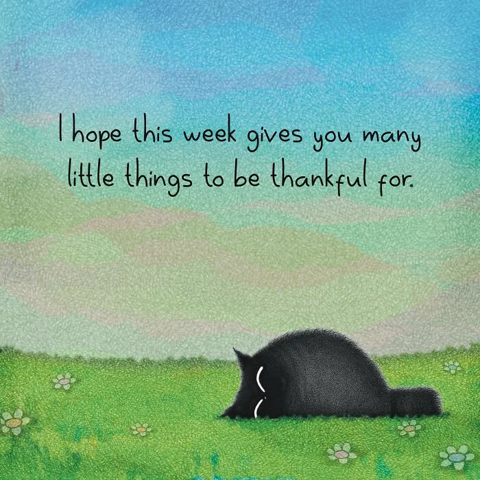 Cat illustrations by Luis Coelho featuring a black cat lying on green grass under a blue sky