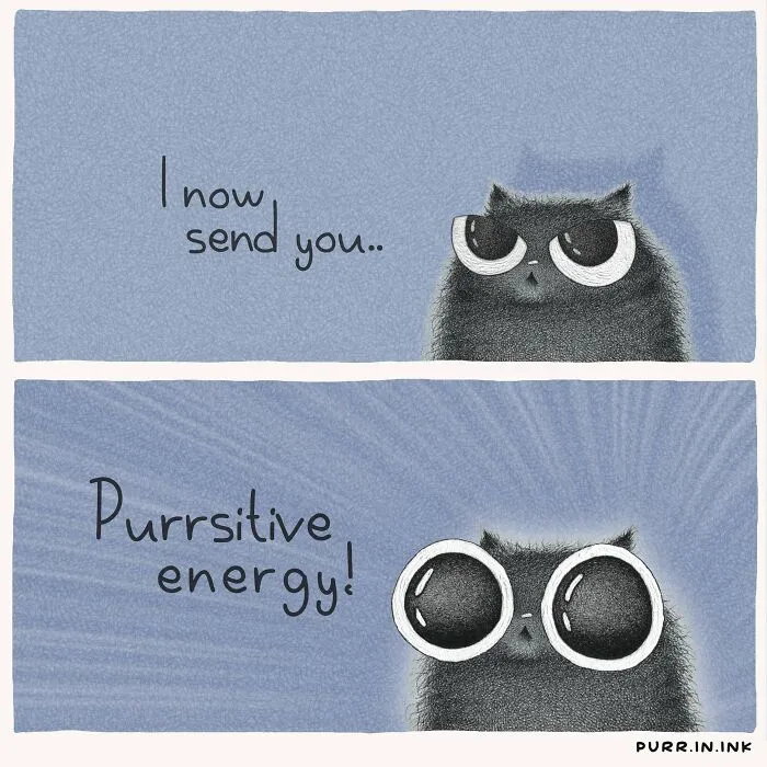 Cat illustrations by Luis Coelho featuring a two-panel comic about sending purrsitive energy
