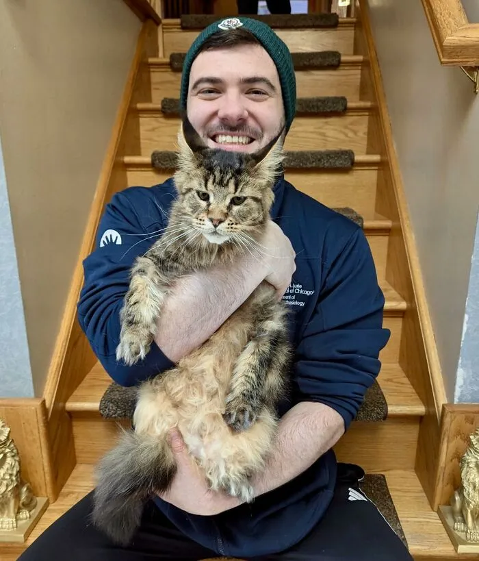 A man holding a fluffy cat creating a perfectly confusing perspective with missing arms.