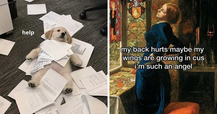65 Memes For Anyone Who Was Not Properly Warned About Adulthood