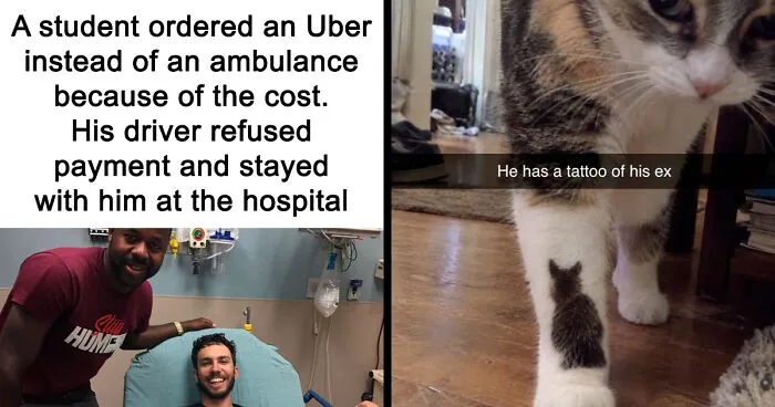 80 Wholesome Memes That Might Make The Internet A Little Less Miserable (New Pics)