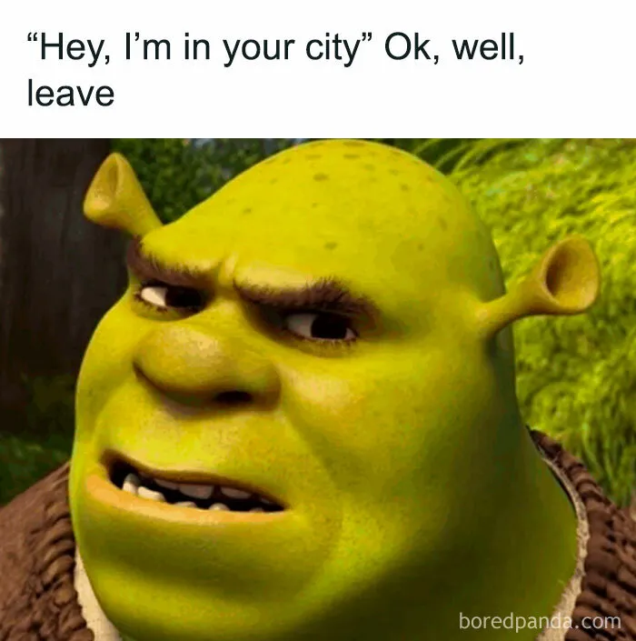 Relatable random memes with Shrek looking disgusted when someone says they are in his city.