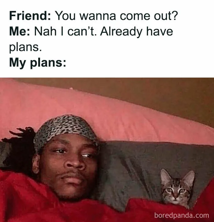 One of many random memes featuring a person in bed with a kitten, staying home