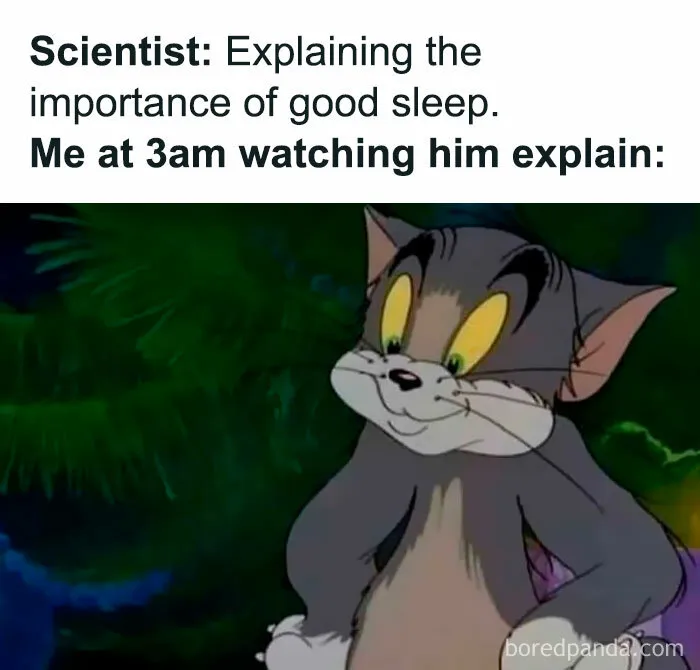 Humorous Tom and Jerry memes about staying up late to watch videos