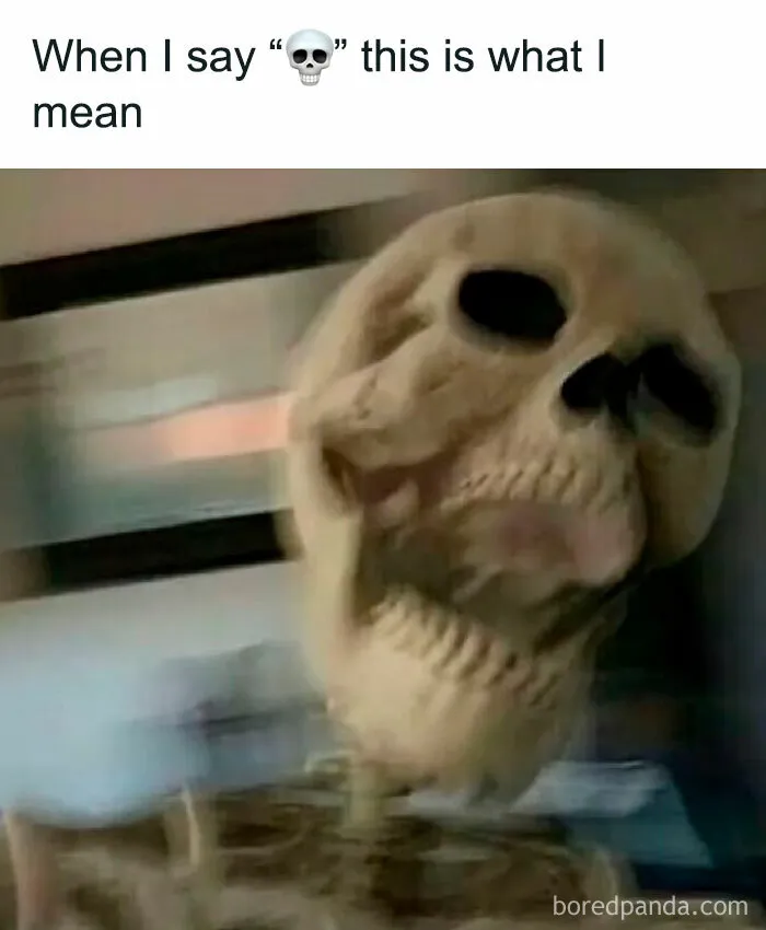 A funny random memes image showing a blurry laughing skull with text about texting