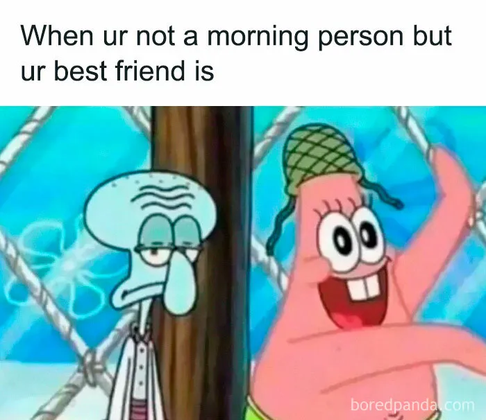 Squidward and Patrick Star representing morning person differences in funny memes