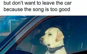 63 Random Internet Nonsense That Somehow Turned Into Peak Comedy