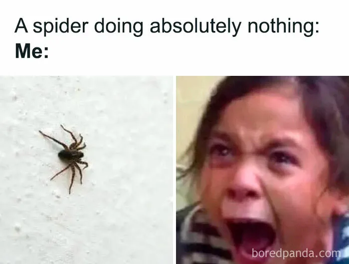 A funny meme comparing a tiny spider to a terrified screaming child