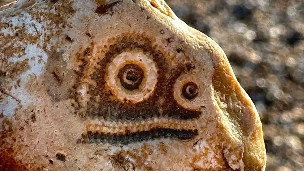 80 Random Objects That Accidentally Look Like They’re Staring Right At You