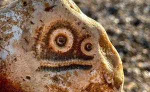 80 Photos Of Objects That Look So Much Like Faces You’ll Do A Double Take