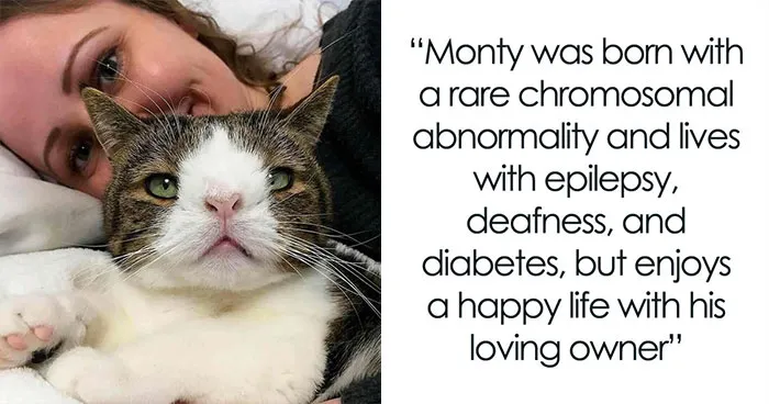 This Community Shared The Stories Of 32 Cats Who Faced Incredible Challenges And Found Loving Humans