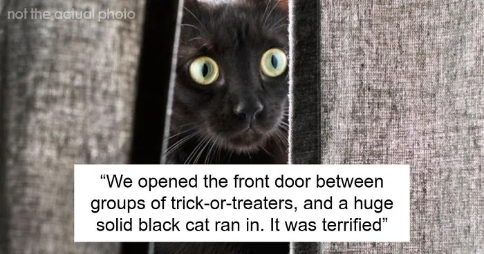 63 Halloween Stories That Were Much Scarier Than Anything People Had Planned