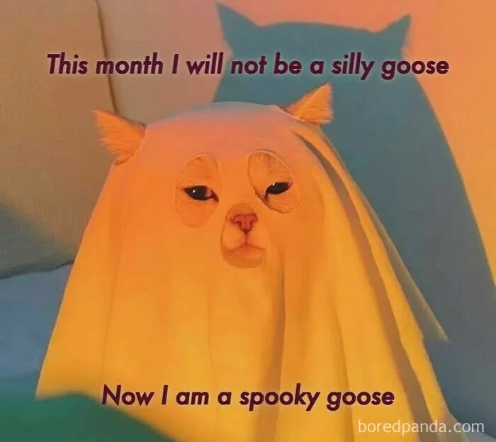 Spooky season meme with a cat dressed as a ghost sheet labeled as a spooky goose.