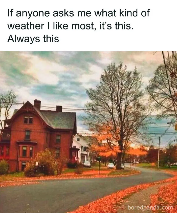 A cozy autumn neighborhood street with fall leaves representing spooky season memes humor