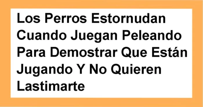 20 Datos Interesantes De Animales Que Puedes Utilizar En Una Conversación Con Tus Amigos
