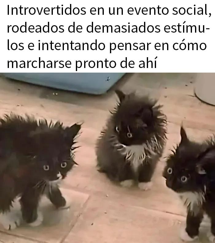 20 Memes para tomarte un respiro y echarte unas risas