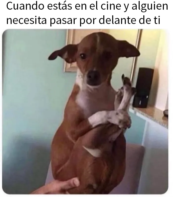 20 Memes para tomarte un respiro y echarte unas risas