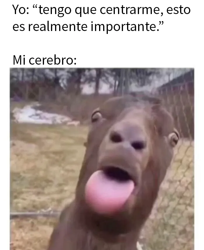 20 Memes para tomarte un respiro y echarte unas risas