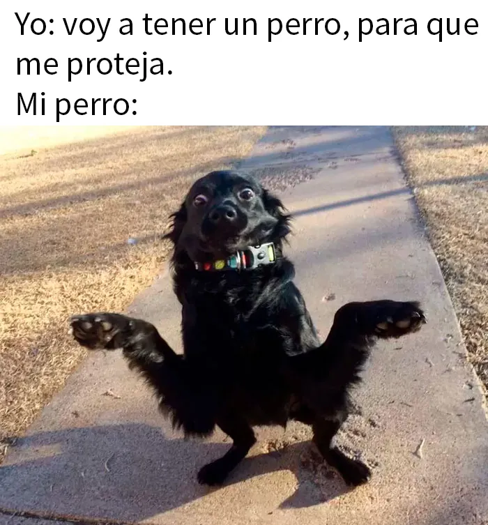 20 Memes para tomarte un respiro y echarte unas risas