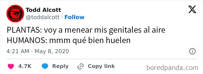20 Memes para tomarte un respiro y echarte unas risas