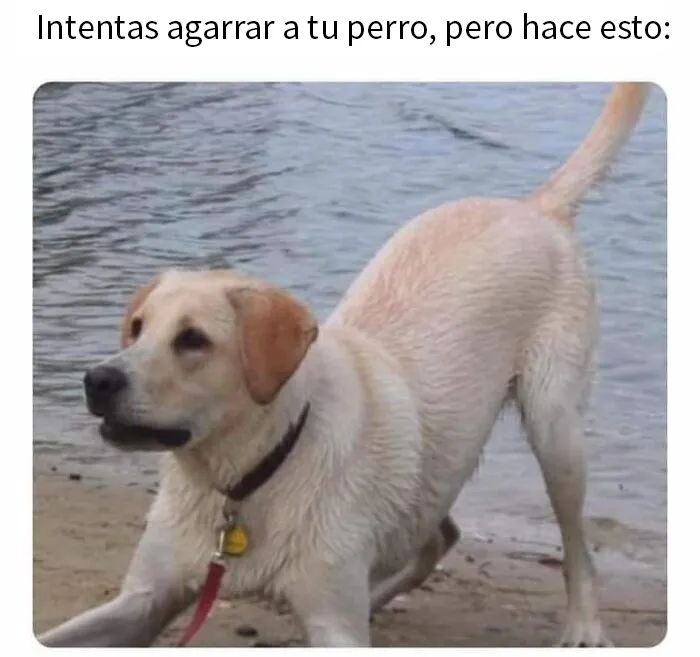 20 Memes para tomarte un respiro y echarte unas risas