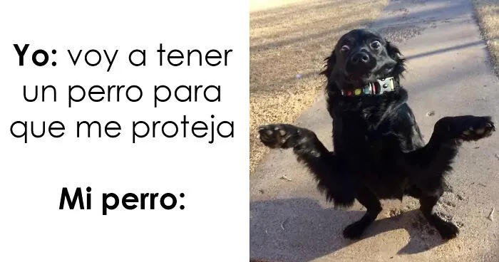 20 Memes para tomarte un respiro y echarte unas risas