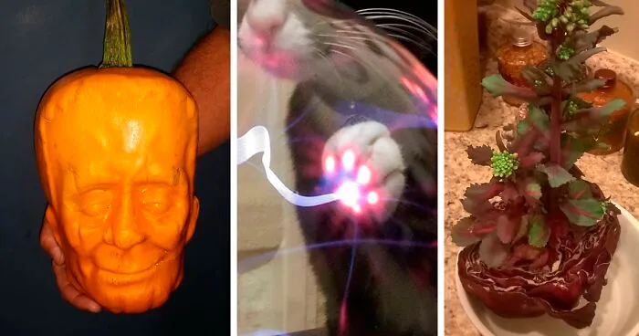 32 Imágenes «bastante interesantes» que te sorprenderán (nuevas fotos)