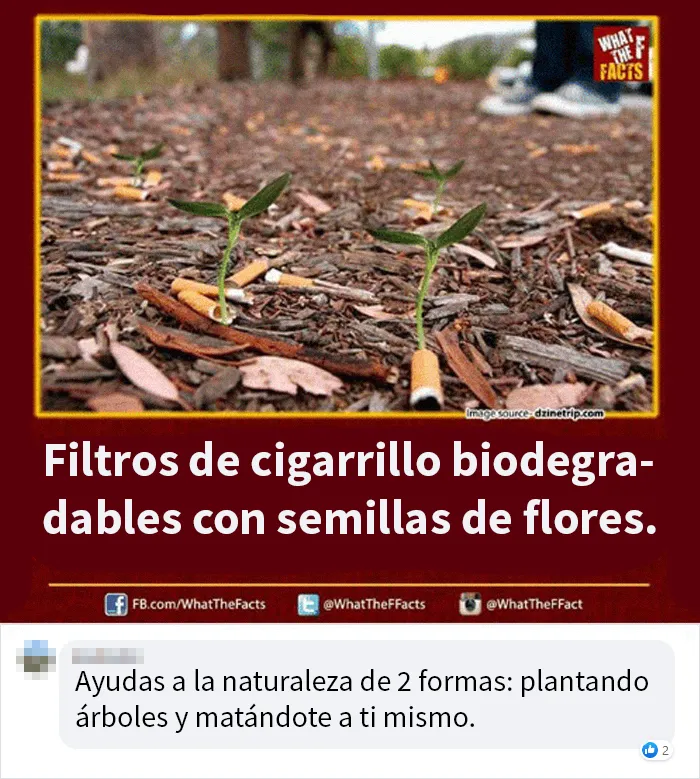 20 Comentarios muy malditos que te harán reír o flipar