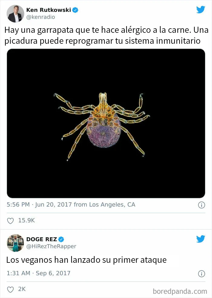 20 Comentarios muy malditos que te harán reír o flipar