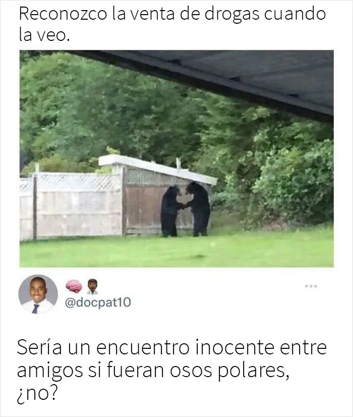 20 Comentarios muy malditos que te harán reír o flipar