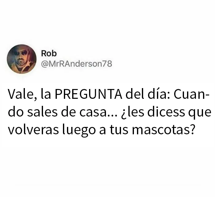 20 Divertidos memes para entretenerte mientras procrastinas