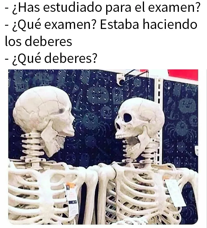 20 Divertidos memes para entretenerte mientras procrastinas