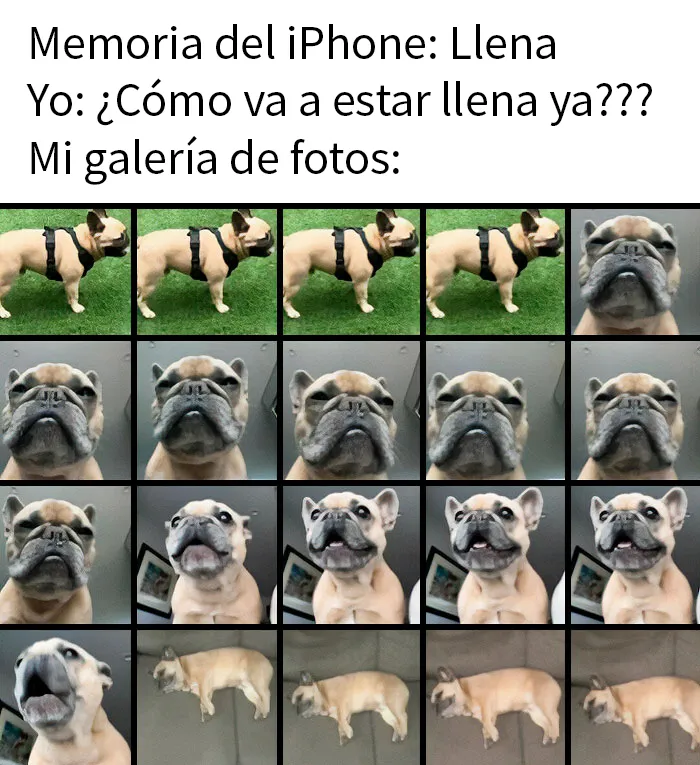 20 Divertidos memes para entretenerte mientras procrastinas