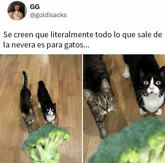 No lo creen, lo saben