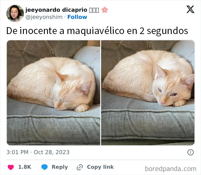 Está en él