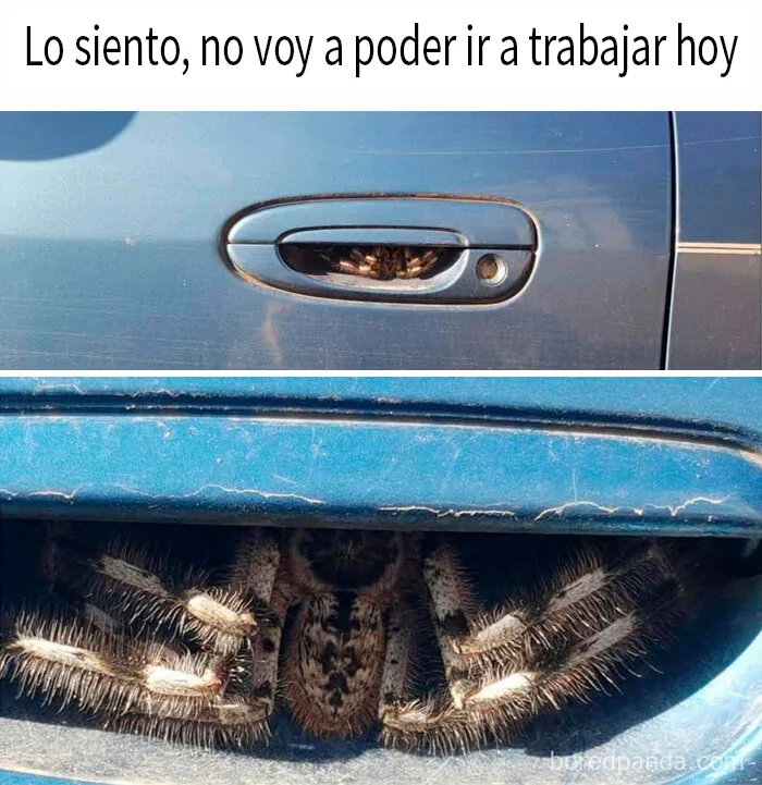 20 Divertidos memes sobre trabajo para ayudarte a sobrellevar la jornada laboral