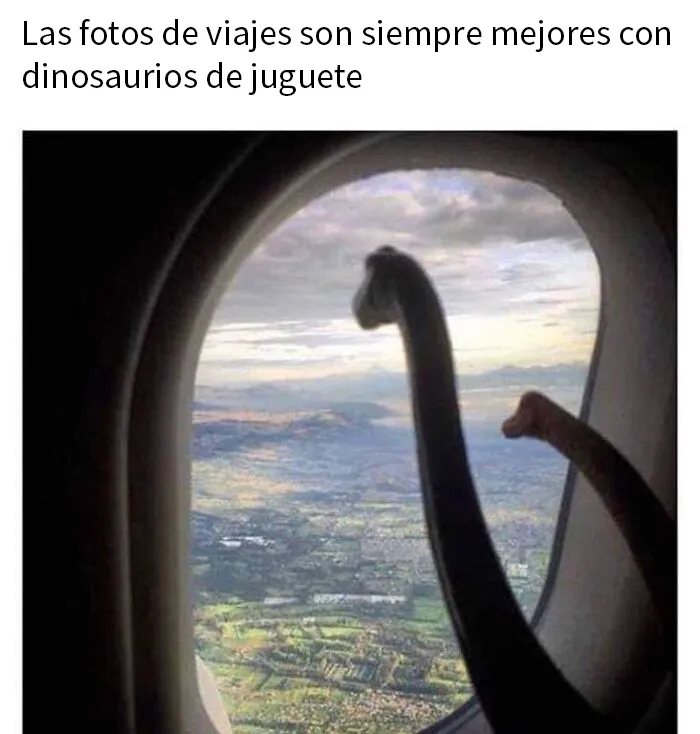 20 Publicaciones reconfortantes para alegrarte un poco el día