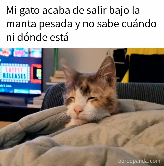 20 Publicaciones reconfortantes para alegrarte un poco el día