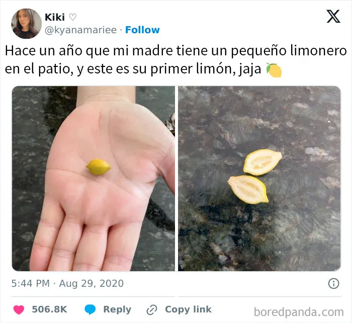 20 Publicaciones reconfortantes para alegrarte un poco el día