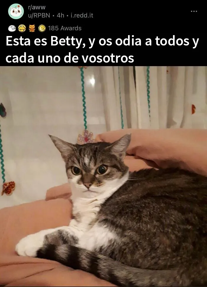 20 Publicaciones reconfortantes para alegrarte un poco el día
