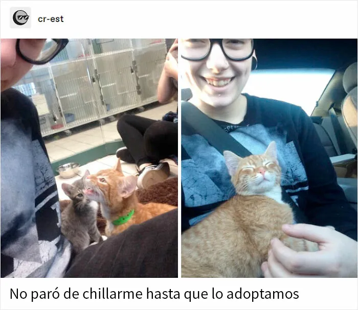 20 Publicaciones reconfortantes para alegrarte un poco el día