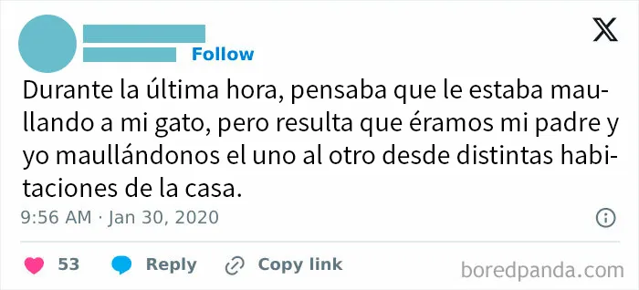 20 Publicaciones reconfortantes para alegrarte un poco el día