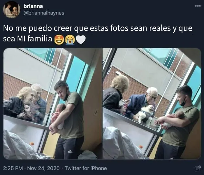 20 Publicaciones reconfortantes para alegrarte un poco el día