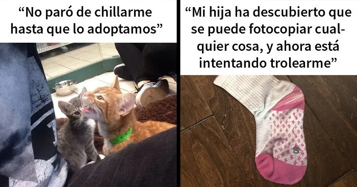 20 Publicaciones reconfortantes para alegrarte un poco el día