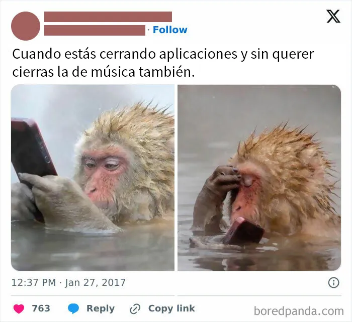22 Divertidas publicaciones que resumen a la perfección la experiencia humana