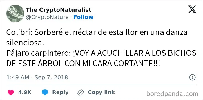 20 Divertidos memes y chistes sobre ciencia que te harán reír con su ingenio