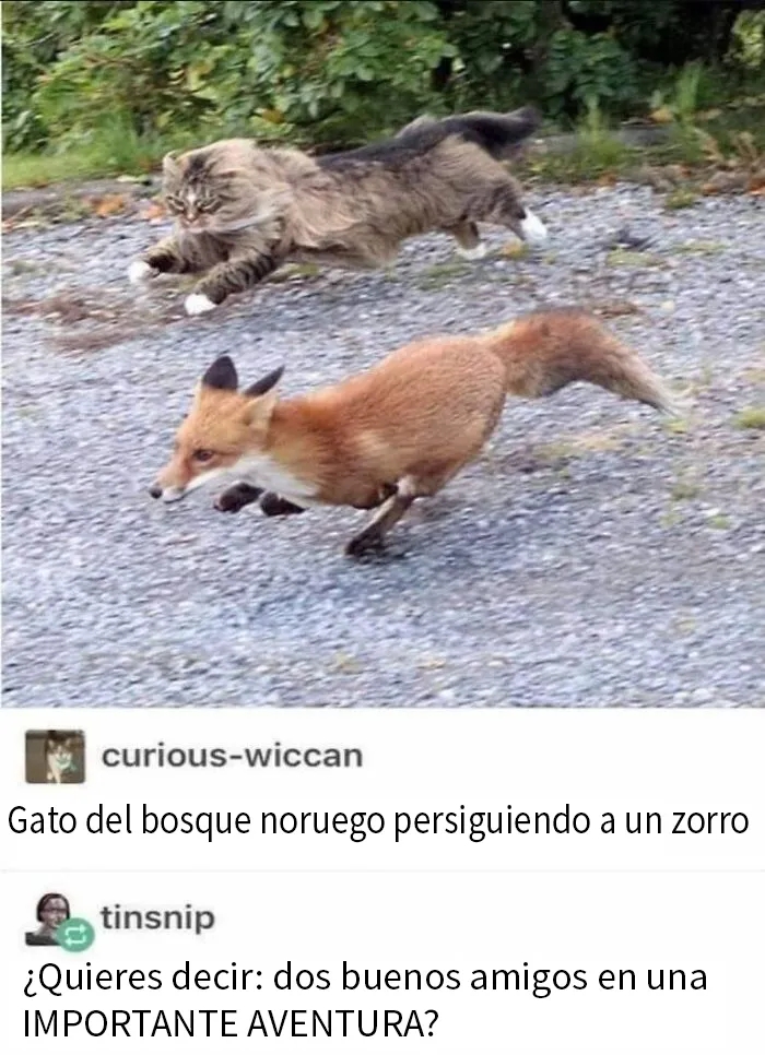 20 Divertidos memes y chistes sobre ciencia que te harán reír con su ingenio
