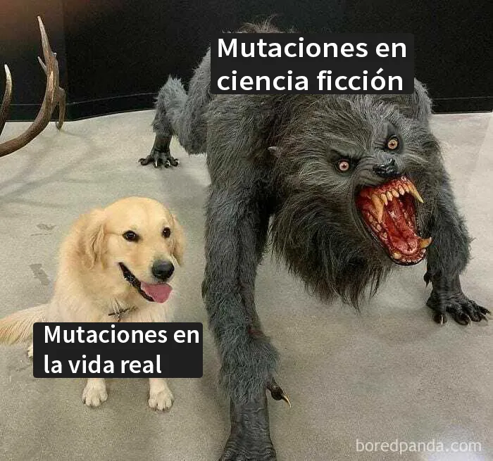 20 Divertidos memes y chistes sobre ciencia que te harán reír con su ingenio