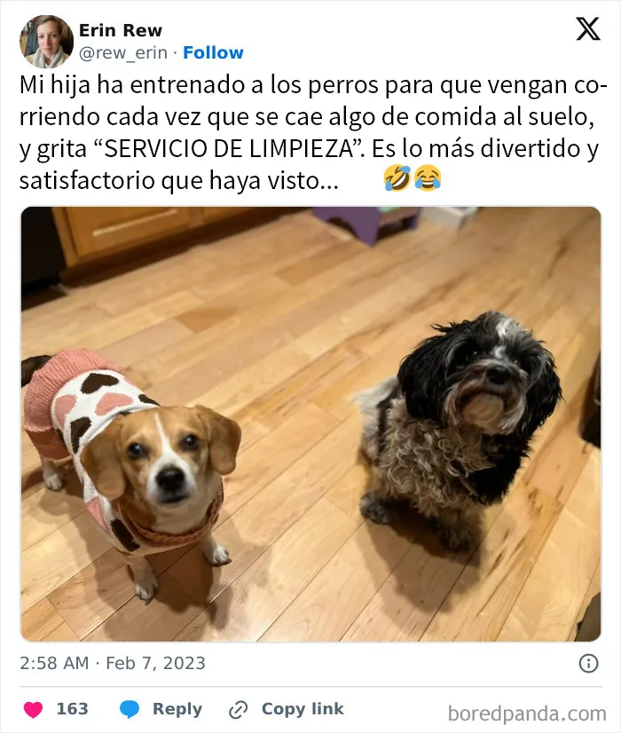 20 Publicaciones reconfortantes para recordarnos que no todo es malo en el mundo
